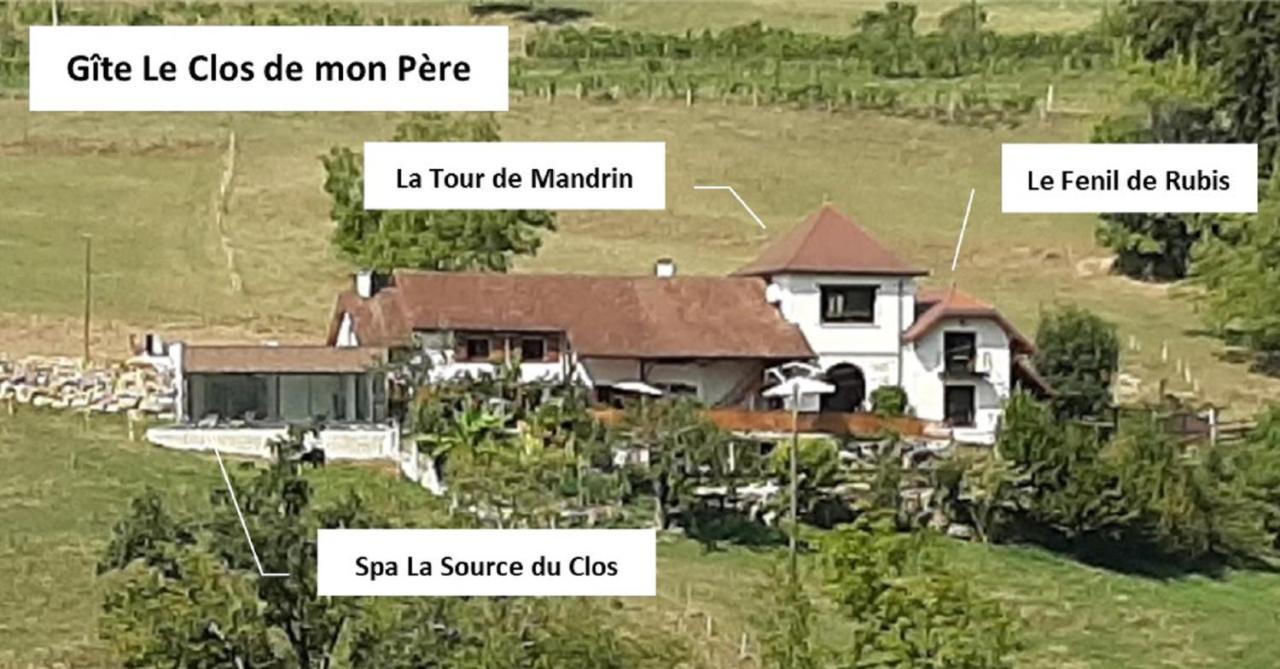 Gite & Spa Le Clos De Mon Pere Rochefort  Exteriör bild