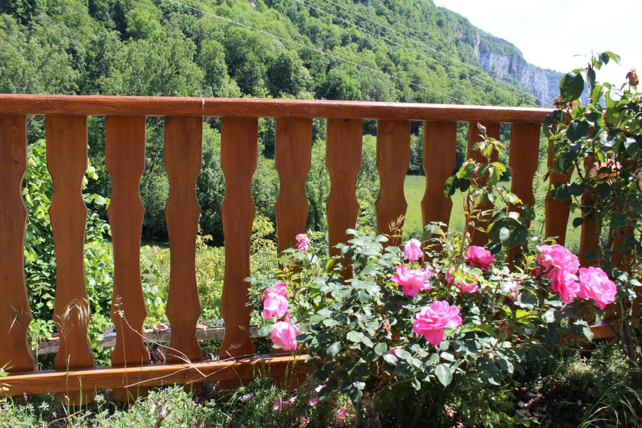 Gite & Spa Le Clos De Mon Pere Rochefort  Exteriör bild